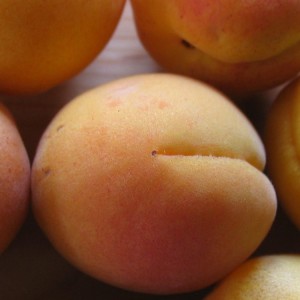 Parfumöl Apricot Fruits (natürlich)