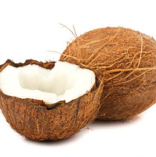 GF Coconut Cosmetic Grade Fragrance Oil